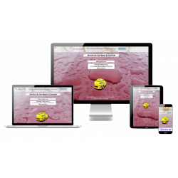 Silex Car-wash