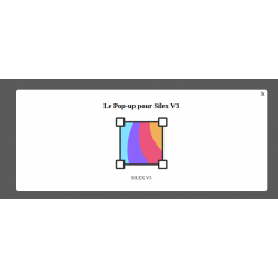 Widget-Popup