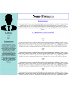 CV pour Silex v3